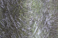 Woodford Bridge fibreglass roof work